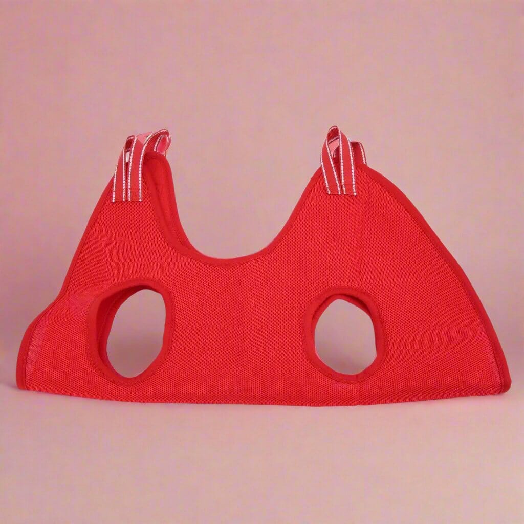 Toilettage Chat - GroomHamac™ - Rouge