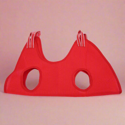 Toilettage Chat - GroomHamac™ - Rouge