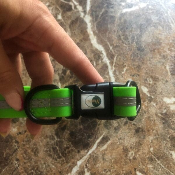 Collier pour Chien - WaterproofDogCollar™ - Vert