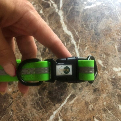 Collier pour Chien - WaterproofDogCollar™ - Vert