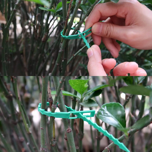EasyAttach™ - Attaches réutilisable pour plantes