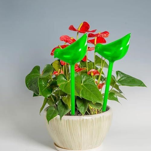 PlantWateringBulbs™ - Vert