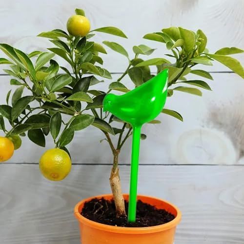 PlantWateringBulbs™ - Vert