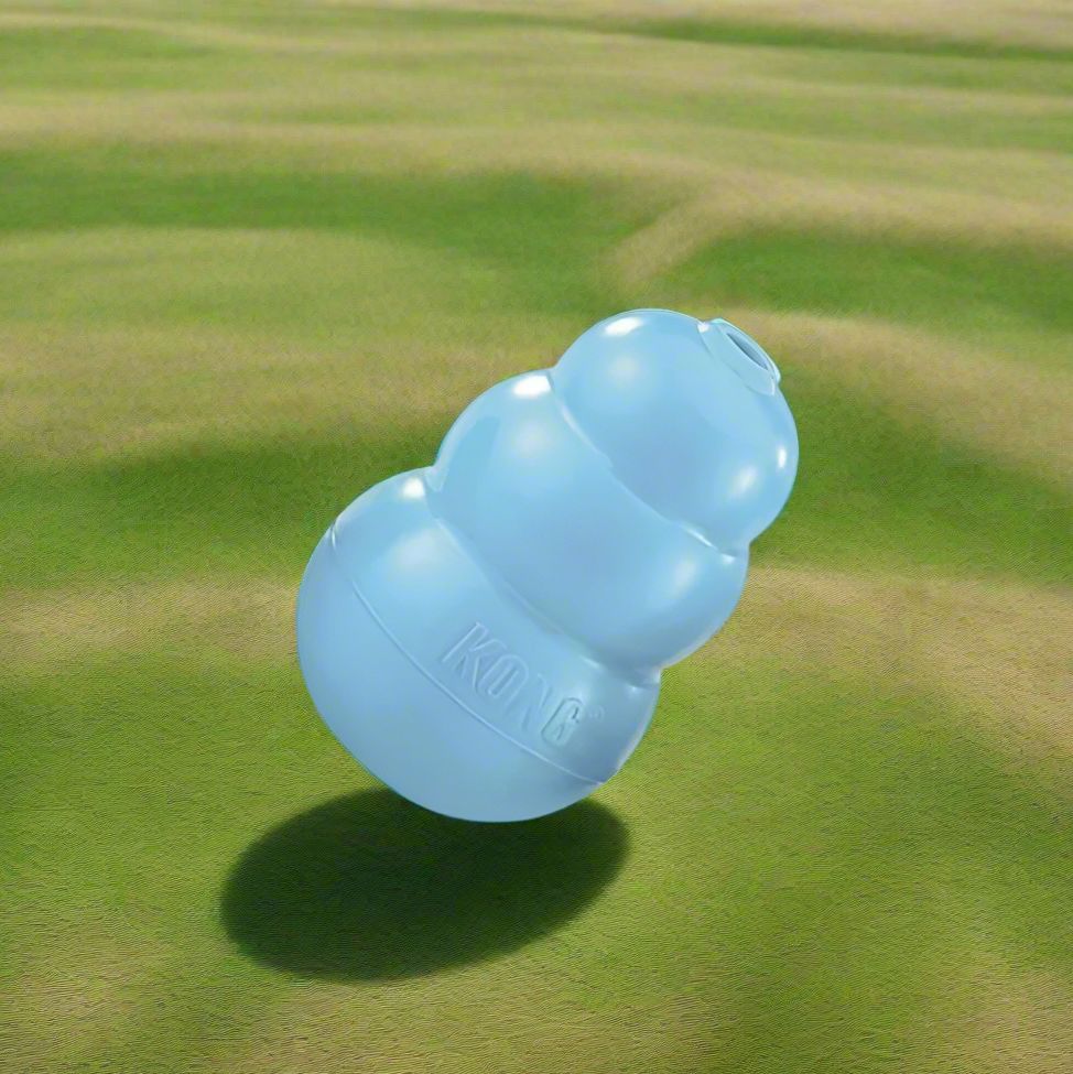 DogChewToy™ - Bleu