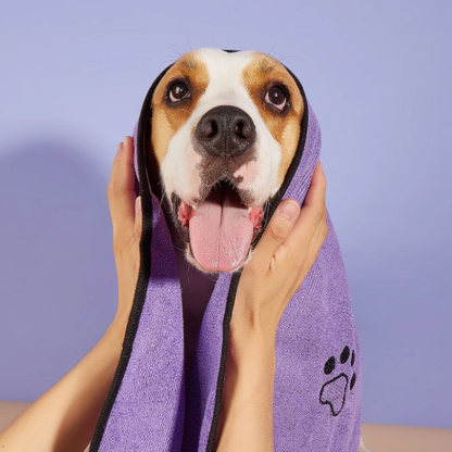 Serviette pour Chien - PawDry™ - Mauve