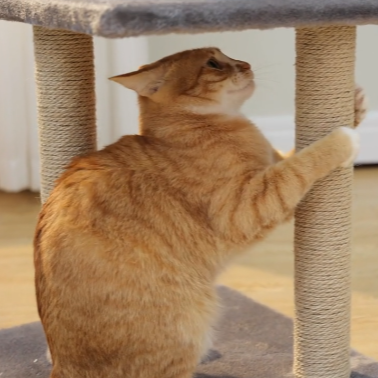 Arbre a Chat - PurrTower™ - Gris Foncé