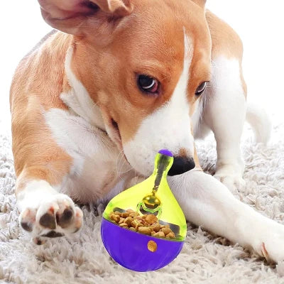 Jouet Interactif pour Chien - FeedBall™ - Toupie