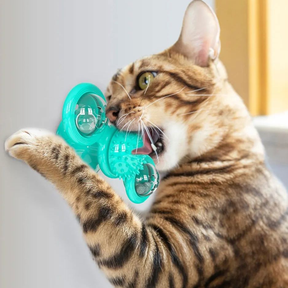 Jouet Pour Chat - MultifunctionalGlowingBall™ - Bleu ciel