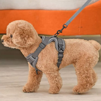 Harnais Petit Chien - DogHarnessVest™ - Gris