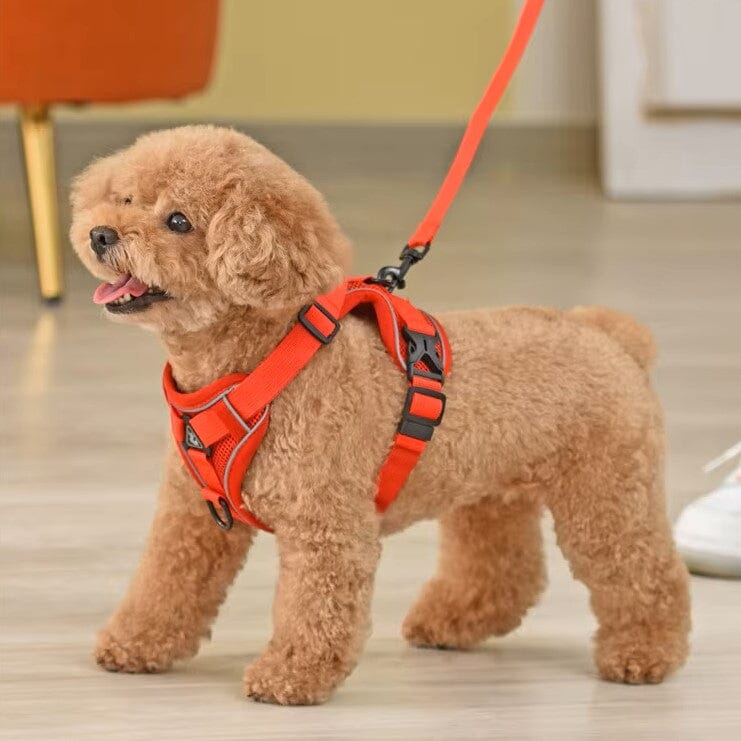 Harnais Petit Chien - DogHarnessVest™ - Rouge