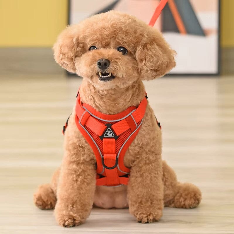 Harnais Petit Chien - DogHarnessVest™ - Rouge
