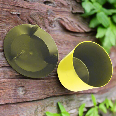 Piege a Limace - SnailTrap™ - Jaune