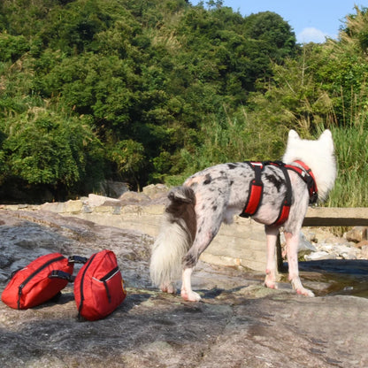 Sac à Dos pour Chien - RandoBuddy™