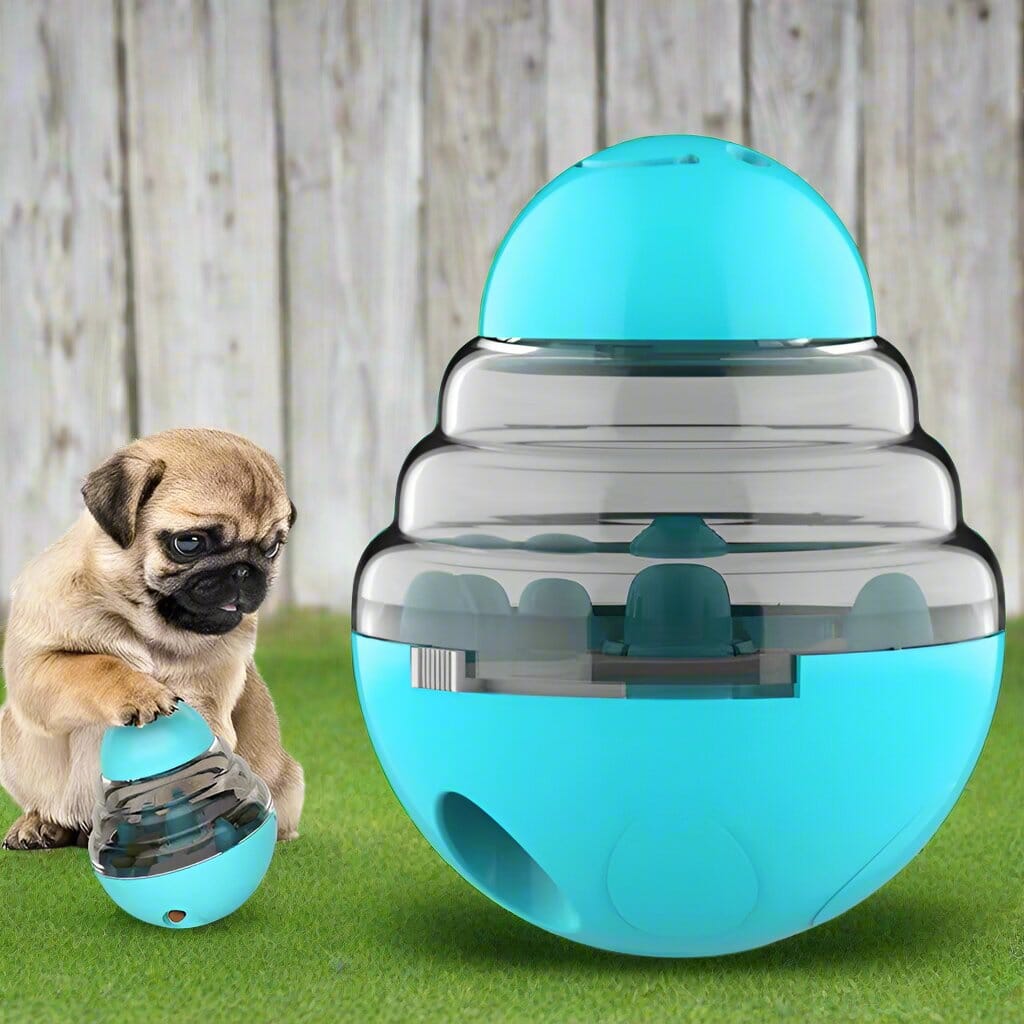 Distributeur de Croquettes pour Chien - SlowFeederDog™ - Turquoise