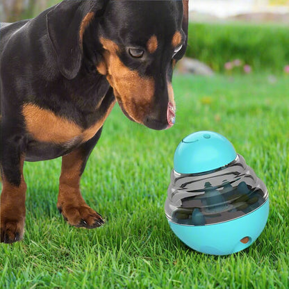 Distributeur de Croquettes pour Chien - SlowFeederDog™ - Turquoise