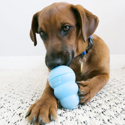 DogChewToy™ - Bleu