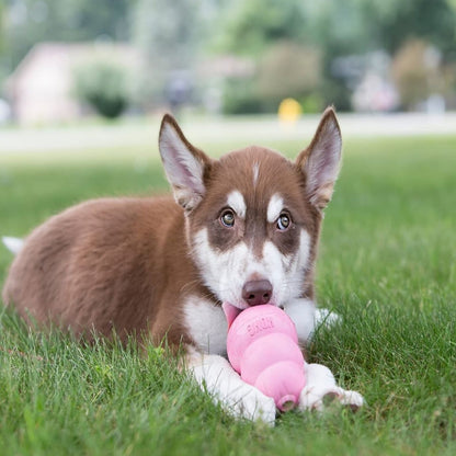 DogChewToy™ - Rose