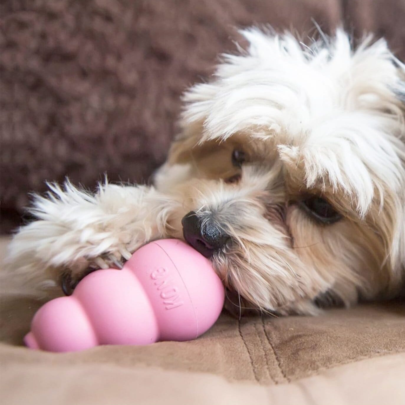 DogChewToy™ - Rose