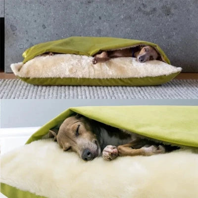 DogHaven™ - Vert