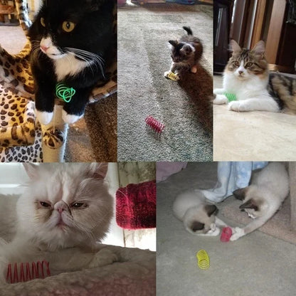 SpringToyForCats™