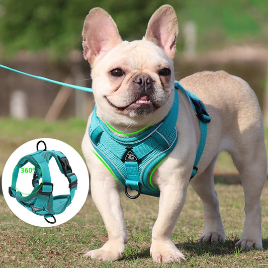 Harnais Petit Chien - DogHarnessVest™ - Cyan