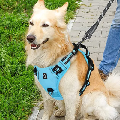 Harnais Chien - PullDogHarness™ - Bleu Ciel