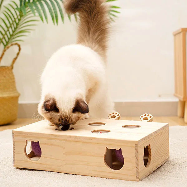 Jouet Interactif Chat - WoodMole™