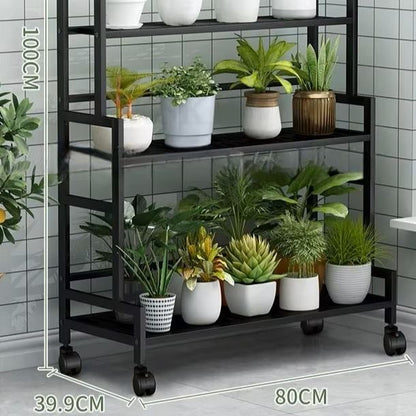 Flora3Steps™ - Noir