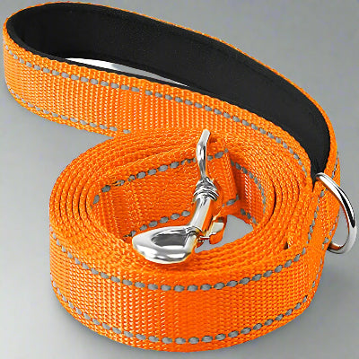 Collier Chien - DogsHarnessCollar™ - Orange