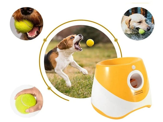 DogTennisAutomatiqueLanceurBalle™