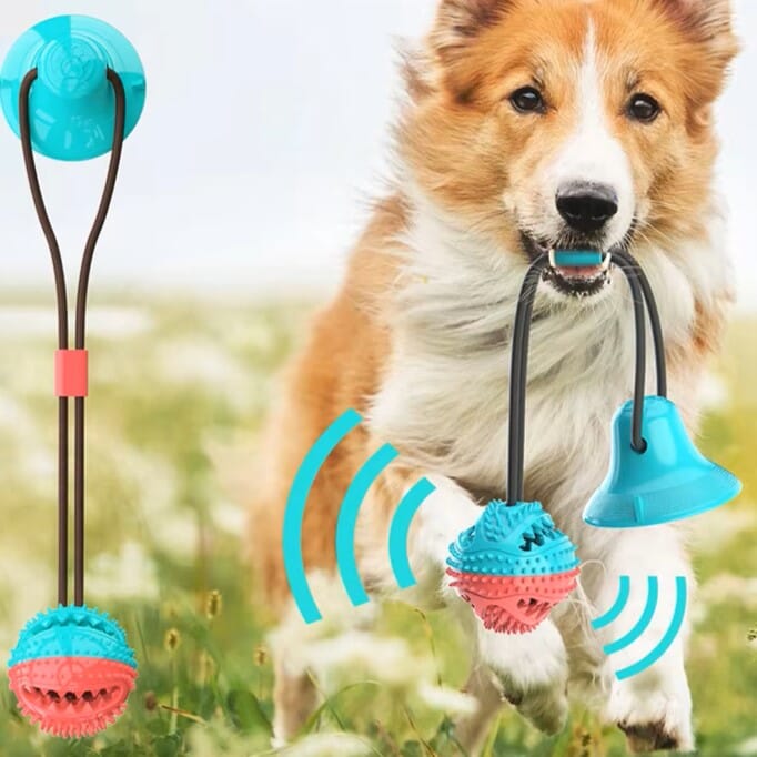 Jouet de Dentition - DogBallChewToy™ - Turquoise