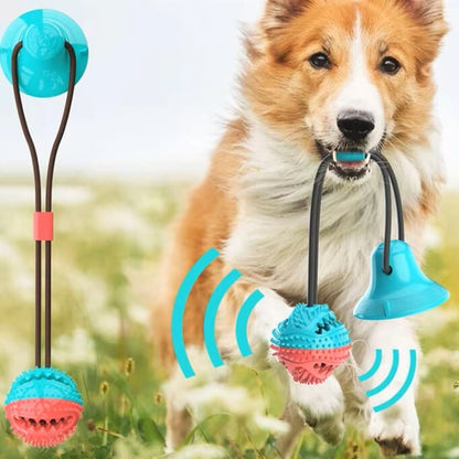 Jouet de Dentition - DogBallChewToy™ - Turquoise