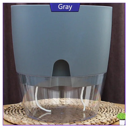 47897620775250|47897620808018|47897620840786|47897620971858