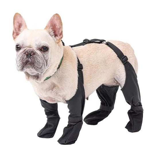 PawProtect™