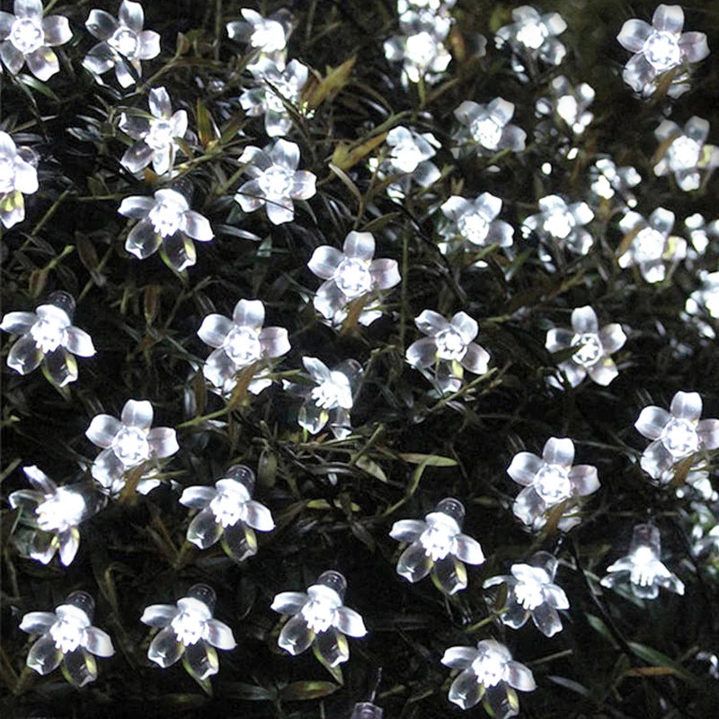 LedCherryLights™ - Blanc