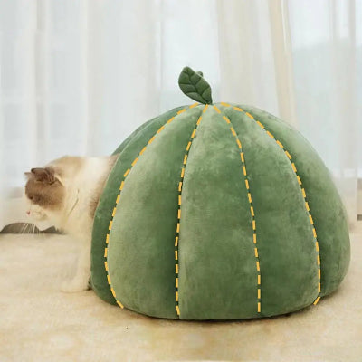 Niche pour Chat - Pumpkin Paws™