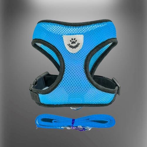 DoggyMax™- Best Pet Harnesses