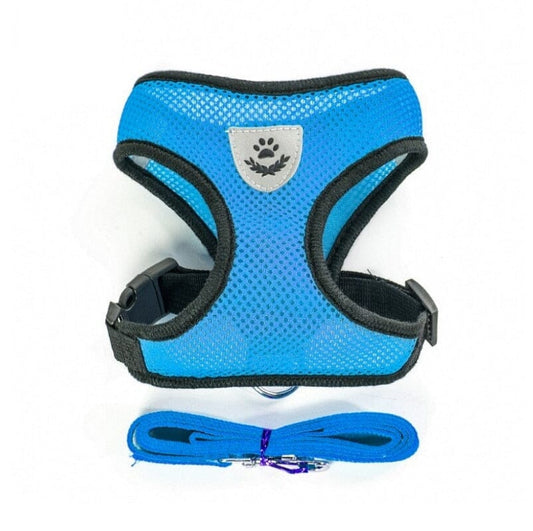 HarnaisMax™- Harnais confort pour chien