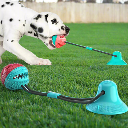 Jouet de Dentition - DogBallChewToy™ - Turquoise