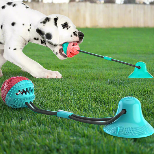 Jouet de Dentition - DogBallChewToy™ - Turquoise