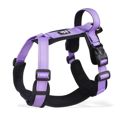Harnais - SafePup™ - Mauve