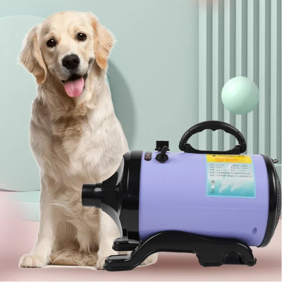 Pulseur pour Chien - PetDryForce™