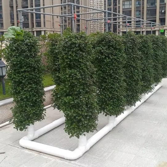 Potager Vertical - HydroStack™ - Gris