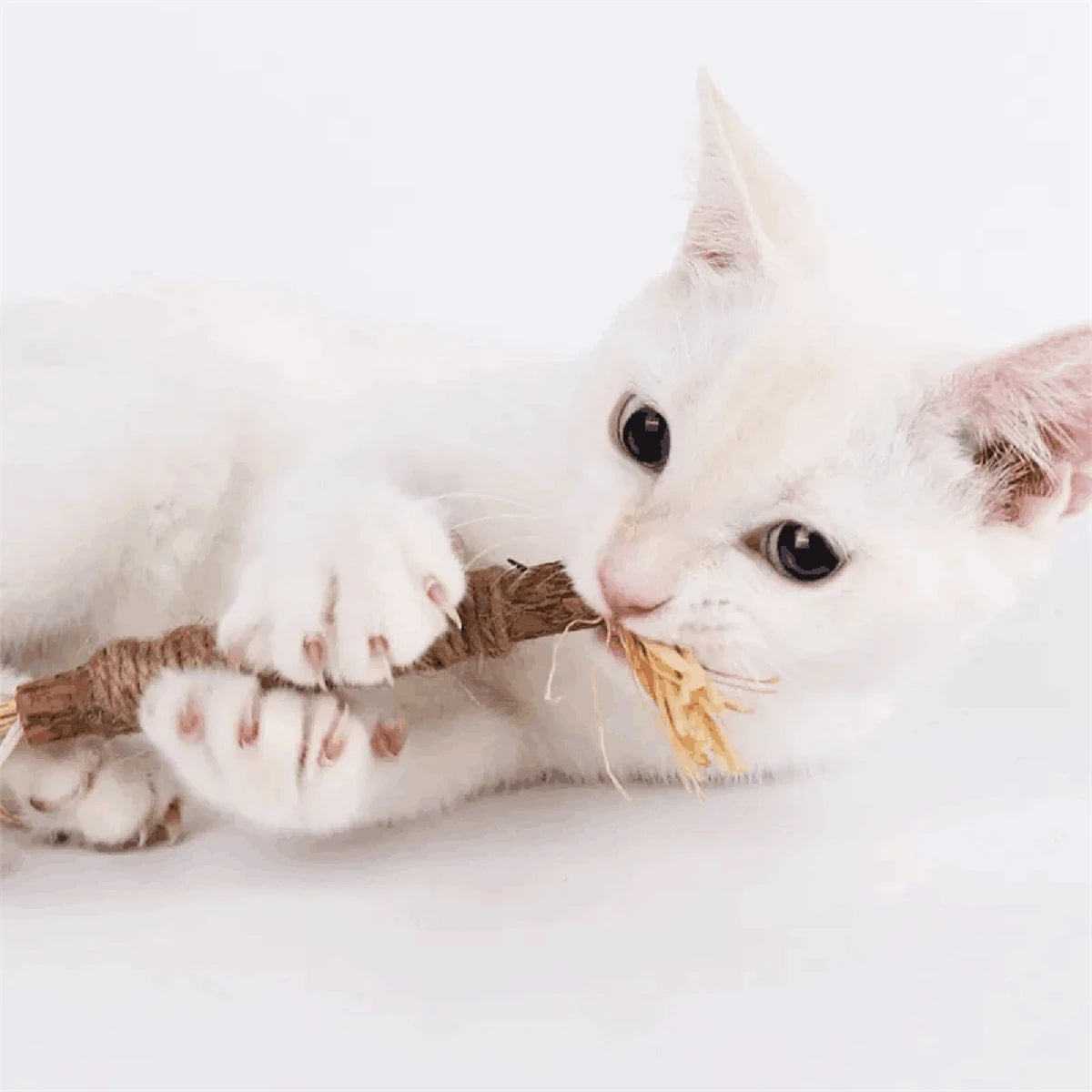 Bâton à mâcher pour chat - PurrStick™