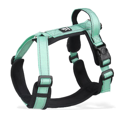Harnais - SafePup™ - Vert