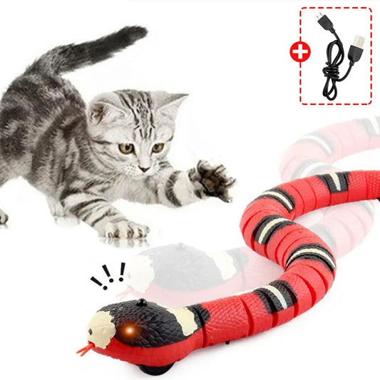 KittenInteractiveToy™