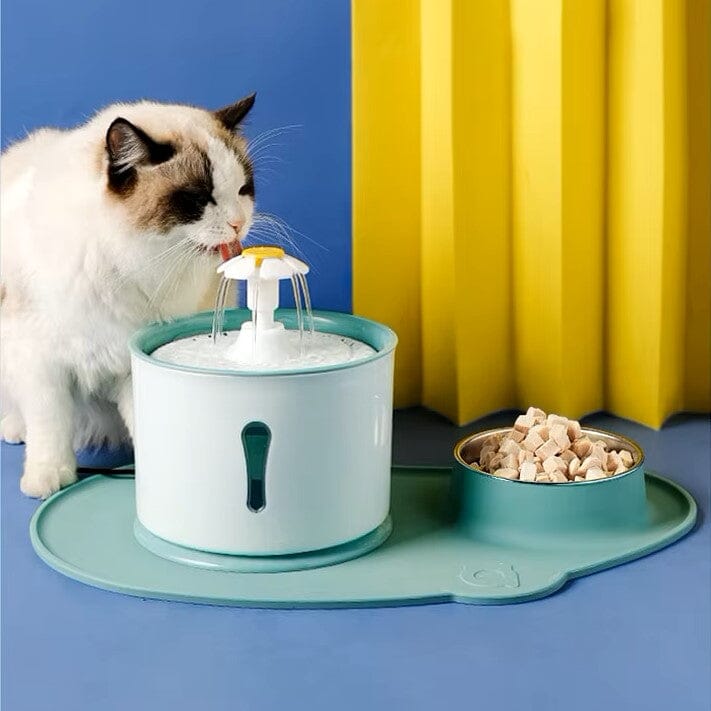 Fontaine à Eau pour Chat - CatLEDFountain™ - Vert