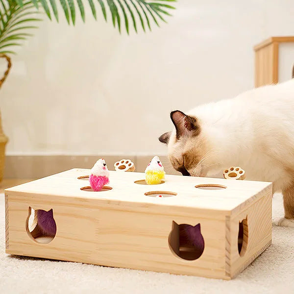 Jouet Interactif Chat - WoodMole™