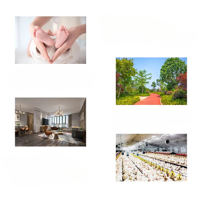 Lampe Anti Moustique - BugBlaster™ - Noir