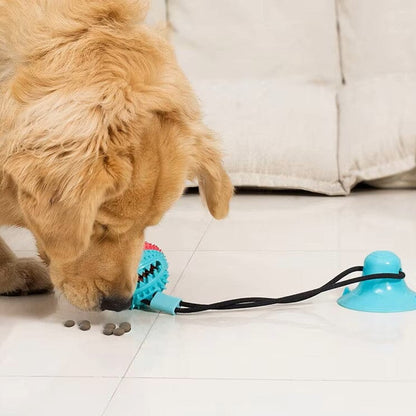 Jouet de Dentition - DogBallChewToy™ - Turquoise